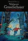 Buchcover Nebelgrauer Gruselschauer. Super Gruselgeschichten