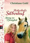Buchcover Reitschule Silberhuf - Sprung ins Pferdeglück