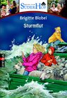 Buchcover Neues vom Süderhof 5 - Sturmflut