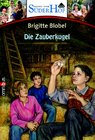 Buchcover Neues vom Süderhof 9 - Die Zauberkugel