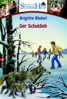 Buchcover Süderhof - Der Schuldieb