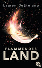 Buchcover Flammendes Land