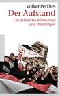 Buchcover Der Aufstand