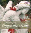 Buchcover Begleitet vom Engel der Stille 2013