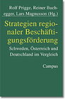 Buchcover Strategien regionaler Beschäftigungsförderung