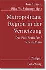 Buchcover Metropolitane Region in der Vernetzung