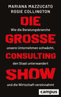 Buchcover Die große Consulting-Show