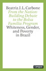 Buchcover From the Nation-Building Debate to the Bolsa Família Program