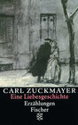 Buchcover Eine Liebesgeschichte