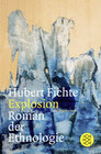 Buchcover Explosion