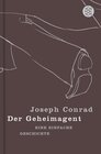 Buchcover Der Geheimagent