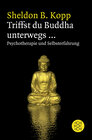 Buchcover Triffst du Buddha unterwegs...