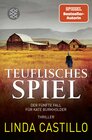 Buchcover Teuflisches Spiel