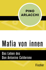 Buchcover Mafia von innen