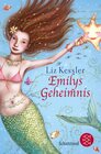 Buchcover Emilys Geheimnis