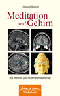 Buchcover Meditation und Gehirn (Wissen & Leben)
