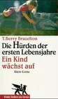 Buchcover Ein Kind wächst auf