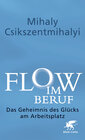 Buchcover Flow im Beruf
