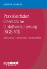 Buchcover Praxisleitfaden Gesetzliche Unfallversicherung (SGB VII)