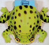 Buchcover Frosch