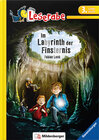 Buchcover Leserabe – Im Labyrinth der Finsternis