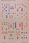 Buchcover Das Mathebuch 1