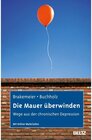 Buchcover Die Mauer überwinden