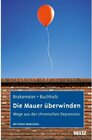 Buchcover Die Mauer überwinden