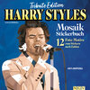 Buchcover Tribute Edition Harry Styles Mosaik Stickerbuch