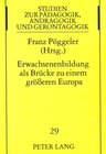 Buchcover Erwachsenenbildung als Brücke zu einem größeren Europa