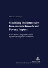 Buchcover Modelling Infrastructure Investments, Growth and Poverty Impact