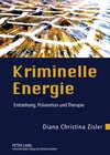Buchcover Kriminelle Energie