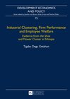 Buchcover Industrial Clustering, Firm Performance and Employee Welfare
