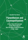 Buchcover Panentheism and Cosmopolitanism