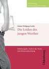Buchcover Oldenbourg Textnavigator für Schüler / Die Leiden des jungen Werther