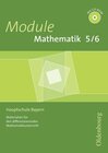 Buchcover Module Mathematik - Mittelschule Bayern / 5./6. Jahrgangsstufe - Kopiervorlagen mit CD-ROM