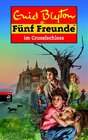 Buchcover Fünf Freunde im Gruselschloss