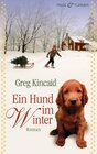 Buchcover Ein Hund im Winter