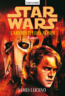 Buchcover Star Wars. Labyrinth des Bösen