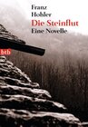 Buchcover Die Steinflut