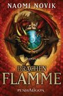 Buchcover Drachenflamme