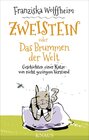 Buchcover Zweistein oder Das Brummen der Welt