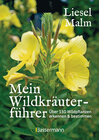 Buchcover Mein Wildkräuterführer. Über 150 Wildpflanzen sammeln, erkennen & bestimmen.