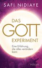 Buchcover Das Gott-Experiment