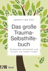 Buchcover Das große Trauma-Selbsthilfebuch