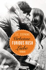 Buchcover Furious Rush. Verbotene Liebe