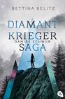 Buchcover Die Diamantkrieger-Saga - Damirs Schwur
