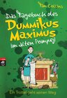 Buchcover Das Tagebuch des Dummikus Maximus im alten Pompeji – Ein Trottel geht seinen Weg