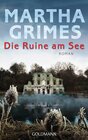 Buchcover Die Ruine am See