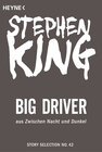 Buchcover Big Driver